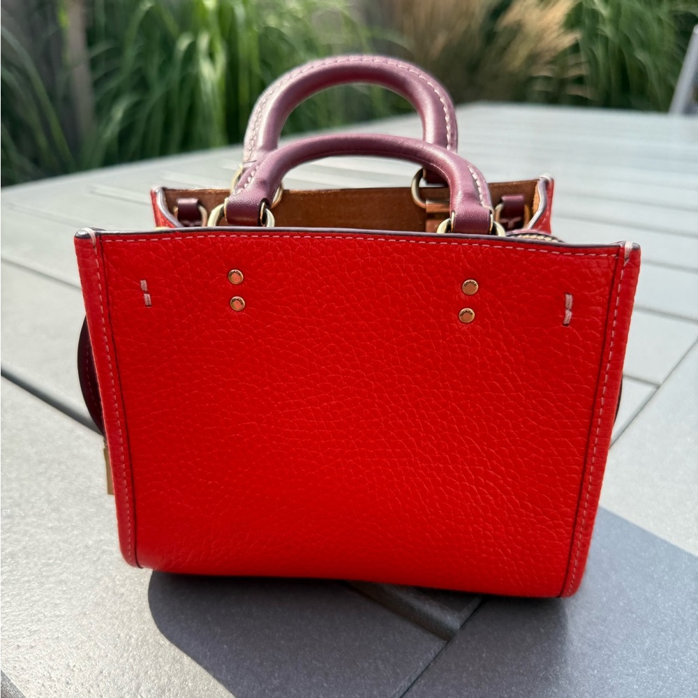 COACH ROGUE 17